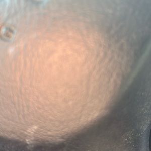 Listing for Stacie a